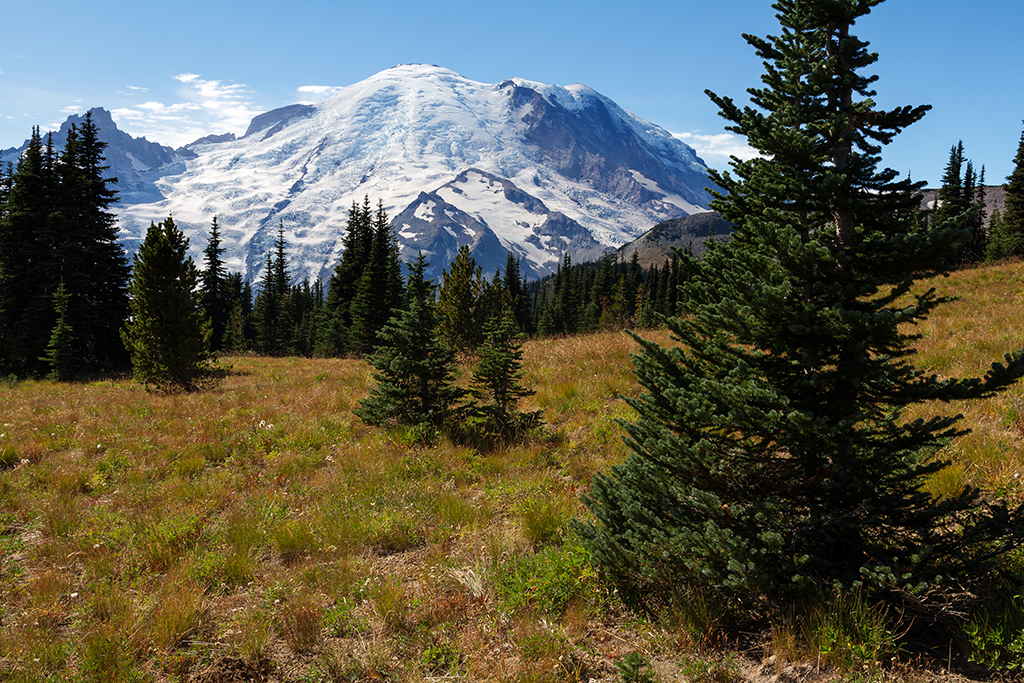 09-25 - 03.jpg - Mount Rainier National Park, WA